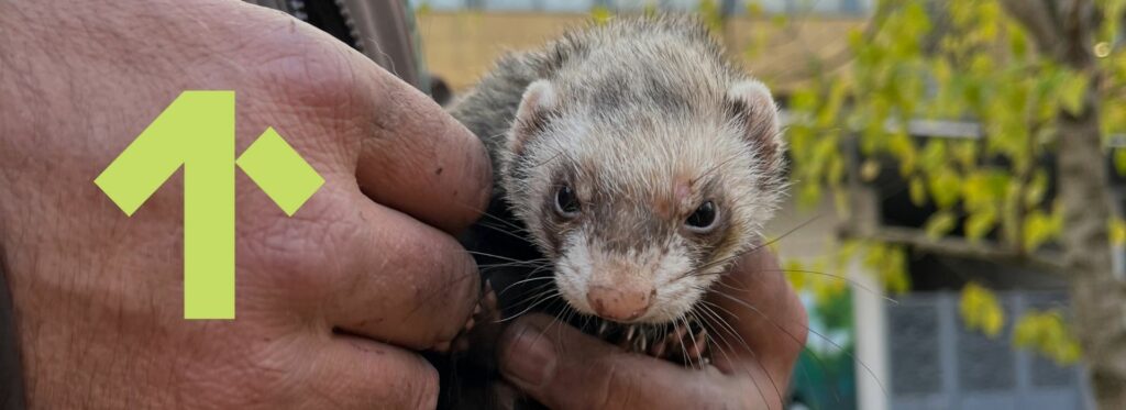 Projet Servigeco Gestion SEA